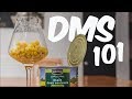 What's DMS (Dimethyl Sulfide)?