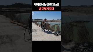 새우양식 몇십억 번다고?? 이거 현실이야 정신차려 #shorts