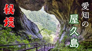 愛知の屋久島‼ 秘境ハイキング【乳岩峡】Adventurous Chiiwa gorge