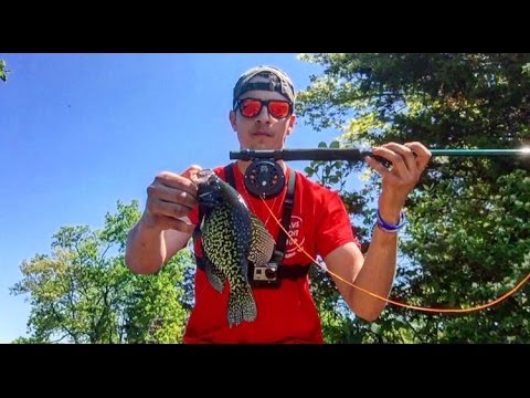 Beginner Fly Fishing (Bluegill Crappie and Largemouth) Beginner Fly Fishing (Bluegill Crappie and Largemouth)
