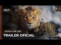 Mufasa: O Rei Leão | Trailer Oficial (Dublado)