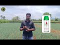 🧅நாற்று வெங்காயம் விவசாயம் பற்றி சில tips small onion farming in tamil...