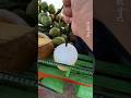 Fresh Coconut Water #viral #asmr #coconut #shorts