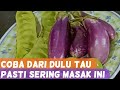 TERONG, PETAI & IKAN TERI DIMASAK INI DIJAMIN PASTI KEPENGEN LAGI!! || Khas Padang