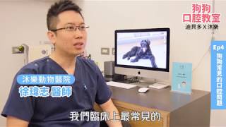 【 T-PET 迪貝多】狗狗口腔教室Ep4狗狗常見的口腔問題 - 狗狗潔牙凝膠