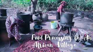 Food Processing In A Typical African Village | Project Search To Build