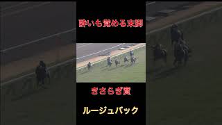 酔いも覚める末脚ルージュバック【きさらぎ賞】#競馬#きさらぎ賞