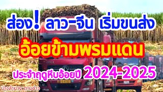 จีน-ลาว คึก!เริ่มขนส่งอ้อยข้ามพรมแดน ประจำฤดูหีบอ้อยปี 2024/25