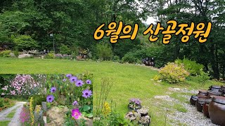 6월의 산골정원 a mountain village garden