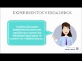 EXPERIMENTO VERDADERO- PERCEPCION GUSTATIVA