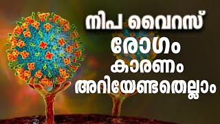 നിപ വൈറസ്,രോഗം,  കാരണം  അറിയേണ്ടതെല്ലാം