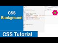 #40 CSS Background | Background Image | Background Position | Background Repeat | CSS Tutorial