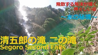 清五郎の滝 第二の滝 Segoro Second Falls・【三重熊野 紀北】巨大な姿に神々しいまでに輝く水しぶき～水の秘境～