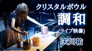 【聴くだけで寝落ちする】クリスタルボウル 調和[ライブ映像] / 天川祐