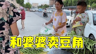 婆婆摘百十斤豆角去零卖，海燕跟着去帮忙，一抢而哄婆媳俩乐呵呵【许海燕vlog】