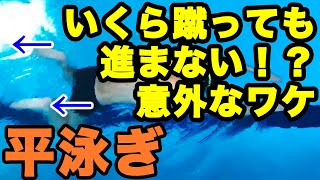 Playtube Pk Ultimate Video Sharing Website