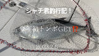 シャチ君釣行記！　志摩沖トンジギ便！