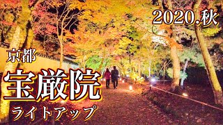 京都 ライトアップした宝厳院を歩く　Walk through the illuminated autumn leaves of Hogon-in Temple in Kyoto 2020.11.23