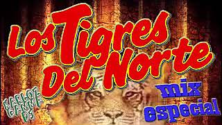Los Tigres Del Norte Mix 2020  Pa Pistear - Un Mix Para Esos Charitas