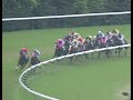 ナリタトップロード 2000年 第122回天皇賞 秋 gi 優勝馬：テイエムオペラオー