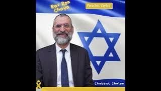 🕯️🍷🥖 Chabbat Parachat 'HAYÉ SARAH 2024 - message du Rav Ron Chaya