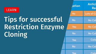 7 Tips for Successful Restriction Enzyme Cloning