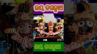 ଭଜନ ସନ୍ଦ୍ୟା ରେ ତୁ #odia #shorts #bhajan #viral #video #mithipuspa-2023 @mithipuspa