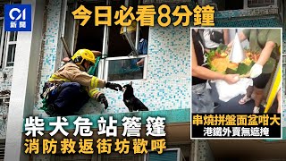 #今日新聞　筲箕灣愛東邨百厭柴犬危站｜港鐵變外賣車  面盆咁大串燒美食無遮掩｜01新聞｜朱江瑋｜跑馬地｜紅山半島｜促銷電話｜迪士尼｜2023年10月17日 #hongkongnews