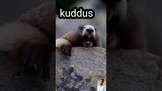 কুদ্দুস এ কুদ্দুস কুদ্দুস রে#কুদ্দুস #kuddus #viral #shorts