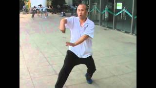 Master Zhang Wei Dong- Liang style Bagua