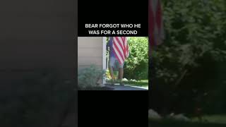 🐻 Bear for a second forgot who he is 😃 | tiktok #Shorts