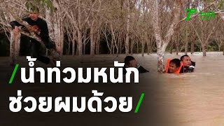 น้ำท่วมปัตตานียังหนัก ทหารช่วย 2 ด.ช.ถูกน้ำซัดไปติดต้นยาง | Thairath Online