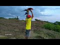 Pantai kedungu tabanan, bali,,, ff free flight macaw, nuri bayan, & sun conure