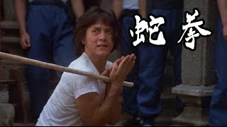 今年は巳年🐍ジャッキーの蛇拳を見よう🐍ヘビ vs. カマキリ『蛇拳』映画フル公開🎥