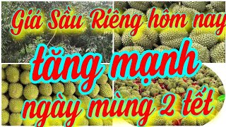 giá sầu riêng hôm nay ngày 30/1/2025