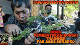 DEMO BELAJAR PEMBENTUKAN BAHAN BONSAI CEMARA # TRAINNER PAK AGUS SUNARKO # LAWANG SENTRA BONSAI #