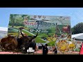 Sarawak agrofest 2024 | Bintulu | Ada lembu! largest agriculture expo in sarawak ! #sarawak