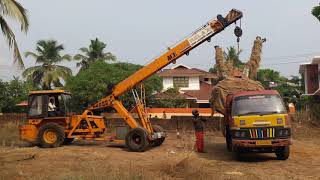 പറിച്ചു നടൽ / Transplanting / Tree relocation/ Tree transplantation in Malappuram Kerala India