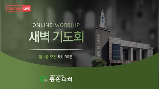 안양동은교회ㅣ새벽기도회ㅣ2024-12-11(수)ㅣ말씀: 단 5:1-31