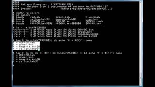 5 Minute Lessons in Shell Script Programming: Pattern Operator ?(PATTERNLIST)
