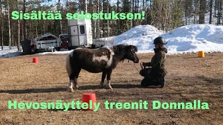 Näyttelytreenit Donnalla (selostuksella)