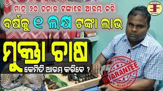 ମୁକ୍ତା ଚାଷ କେମିତି ଆରମ୍ଭ କରିବେ (ଜାଣନ୍ତୁ ଜଣେ ସଫଳ ଚାଷୀଙ୍କ ଠାରୁ). Pearl Farming in Odisha.