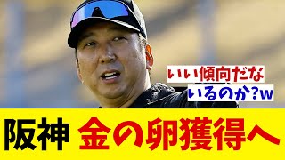 阪神　金の卵獲得へ！！！【野球情報】【2ch 5ch】【なんJ なんG反応】【野球スレ】