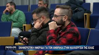 Ενημερωτική ημερίδα για τον άνθρακα στην καλλιέργεια της ελιάς