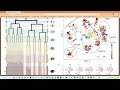 devoworm 2025 5 patterning codes in c. elegans anns vs. bnns feathers and scales