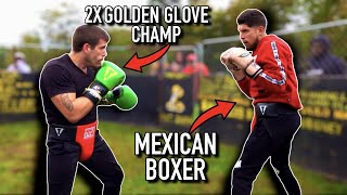 MEXICAN BOXER calls out GOLDEN GLOVE BOXER | Pro Level Boxing