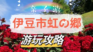 日本静冈县伊豆市修善寺虹之乡虹の郷游玩攻略亲子游春季赏花秋季枫叶红叶灯展自由行经典旅游旅行景点介绍