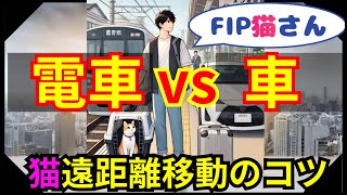 猫さんを遠くの動物病院に連れて行くには＠猫伝染性腹膜炎（FIP）治療の実際 2024年36本目