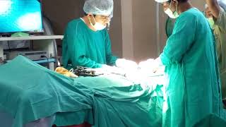 Appendix Removal Surgery | Dr. Praveen Kumar | Book appointment.