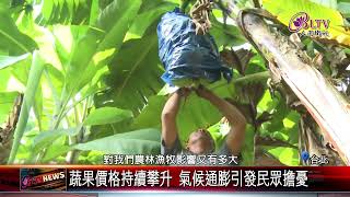 20240814極端天氣不只有體感 氣候通膨在啃食荷包｜‪ @FGSBLTV